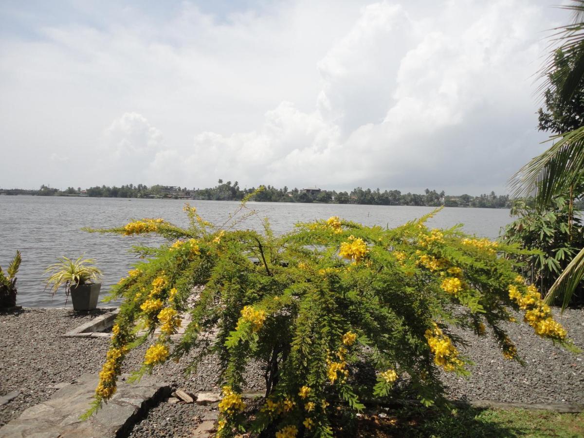 Sapara River Guest Bentota Exterior foto
